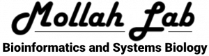 MollahLab